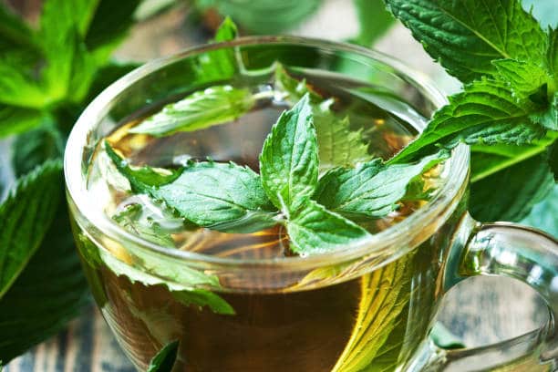 تصویر 3 از خرید عرق نعناع اصلی + قیمت فروش استثنایی